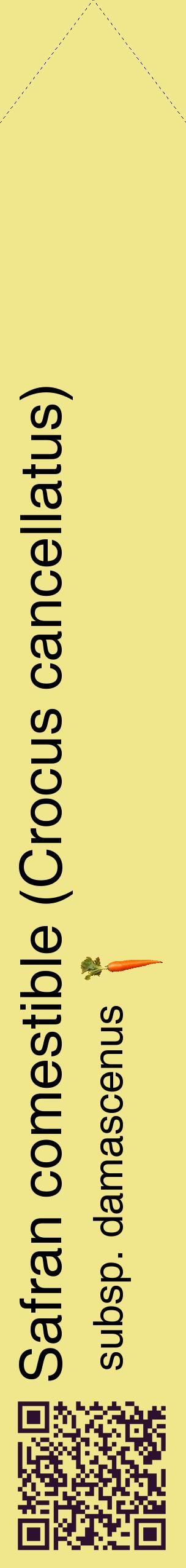 Étiquette de : Crocus cancellatus subsp. damascenus - format c - style noire20_simplehel avec qrcode et comestibilité simplifiée