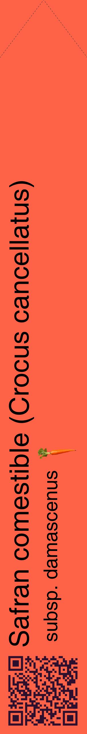 Étiquette de : Crocus cancellatus subsp. damascenus - format c - style noire25_simplehel avec qrcode et comestibilité simplifiée
