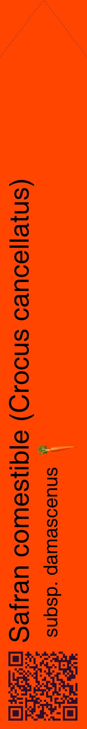 Étiquette de : Crocus cancellatus subsp. damascenus - format c - style noire26_simplehel avec qrcode et comestibilité simplifiée