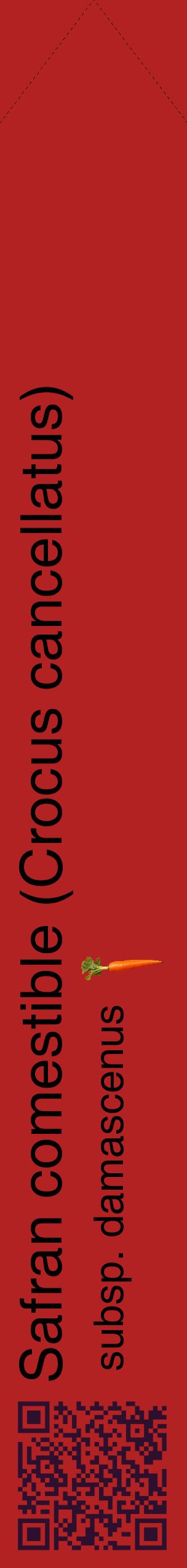 Étiquette de : Crocus cancellatus subsp. damascenus - format c - style noire28_simplehel avec qrcode et comestibilité simplifiée