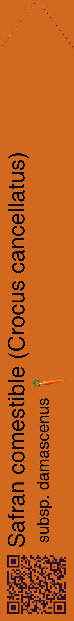 Étiquette de : Crocus cancellatus subsp. damascenus - format c - style noire31_simplehel avec qrcode et comestibilité simplifiée