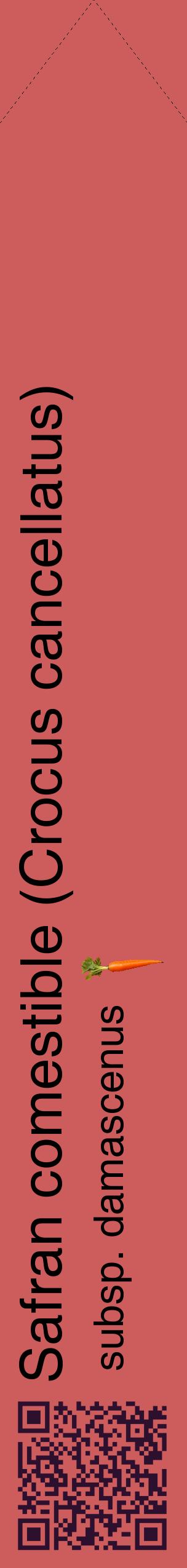 Étiquette de : Crocus cancellatus subsp. damascenus - format c - style noire35_simplehel avec qrcode et comestibilité simplifiée