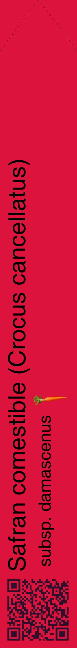 Étiquette de : Crocus cancellatus subsp. damascenus - format c - style noire36_simplehel avec qrcode et comestibilité simplifiée