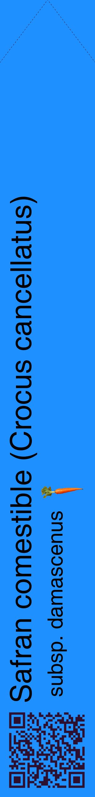 Étiquette de : Crocus cancellatus subsp. damascenus - format c - style noire3_simplehel avec qrcode et comestibilité simplifiée
