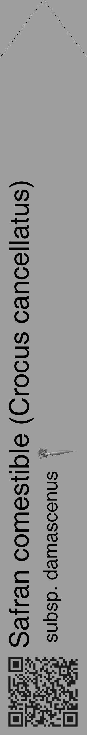 Étiquette de : Crocus cancellatus subsp. damascenus - format c - style noire42_simple_simplehel avec qrcode et comestibilité simplifiée - position verticale