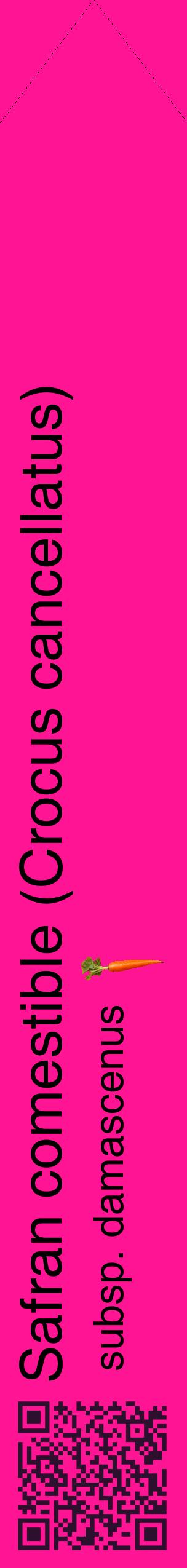 Étiquette de : Crocus cancellatus subsp. damascenus - format c - style noire43_simplehel avec qrcode et comestibilité simplifiée