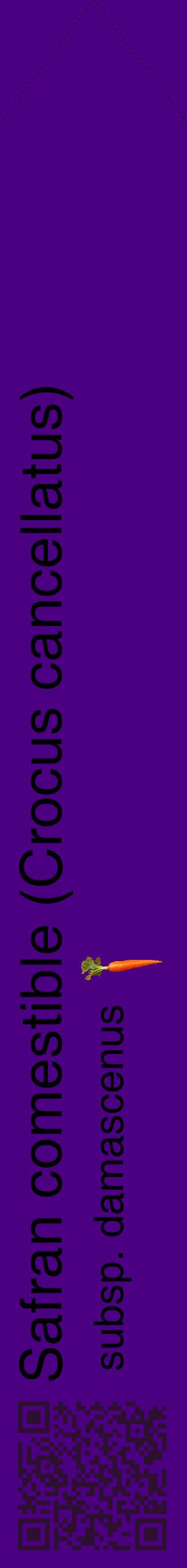 Étiquette de : Crocus cancellatus subsp. damascenus - format c - style noire47_simplehel avec qrcode et comestibilité simplifiée