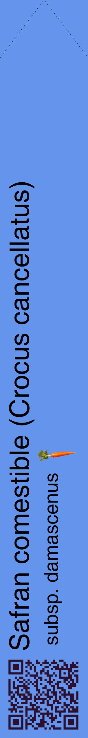 Étiquette de : Crocus cancellatus subsp. damascenus - format c - style noire4_simplehel avec qrcode et comestibilité simplifiée