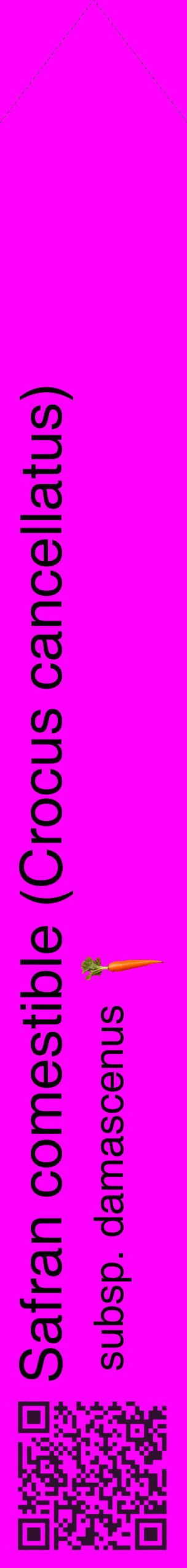 Étiquette de : Crocus cancellatus subsp. damascenus - format c - style noire51_simplehel avec qrcode et comestibilité simplifiée