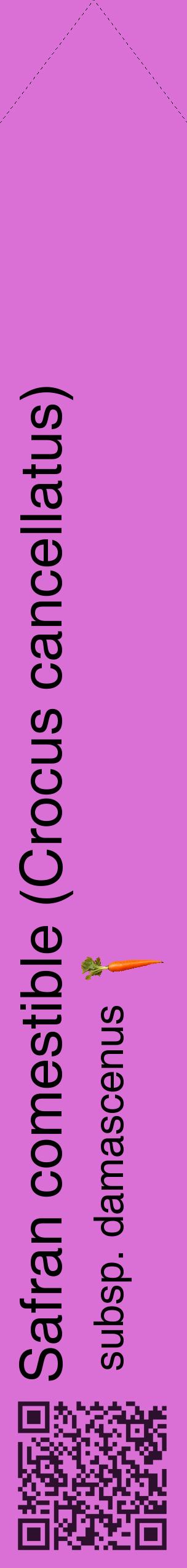 Étiquette de : Crocus cancellatus subsp. damascenus - format c - style noire52_simplehel avec qrcode et comestibilité simplifiée