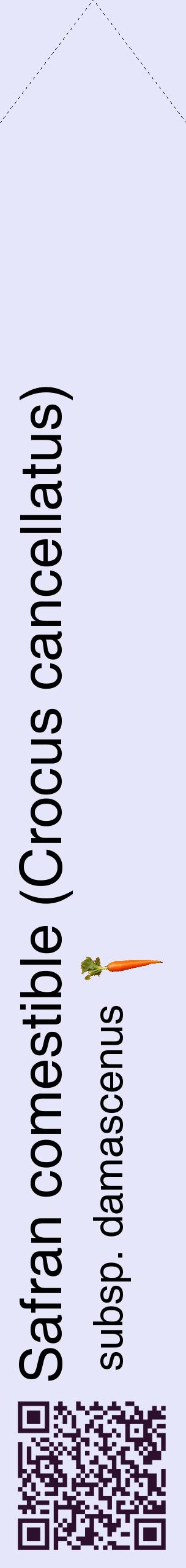 Étiquette de : Crocus cancellatus subsp. damascenus - format c - style noire55_simplehel avec qrcode et comestibilité simplifiée