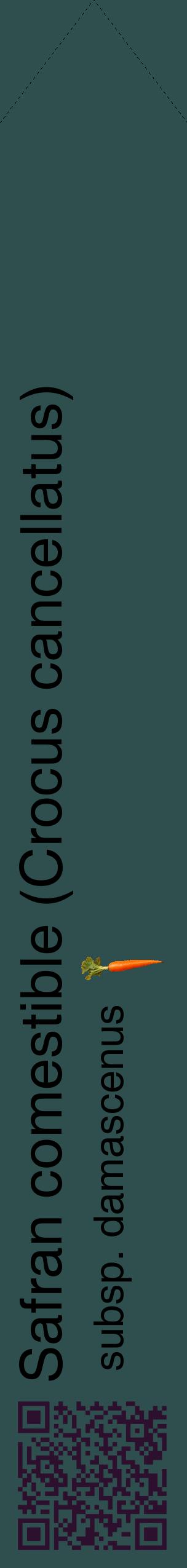 Étiquette de : Crocus cancellatus subsp. damascenus - format c - style noire58_simplehel avec qrcode et comestibilité simplifiée