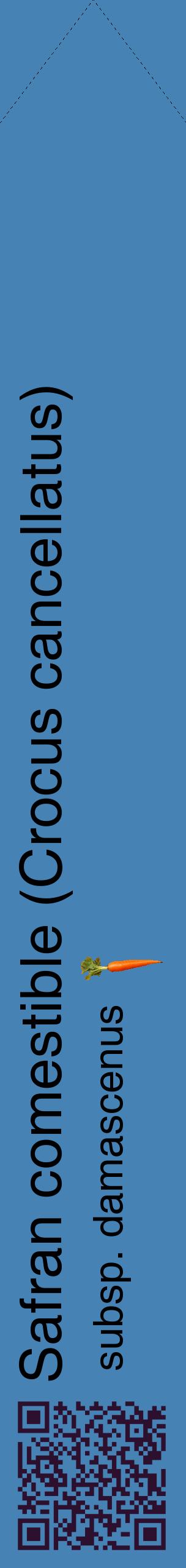 Étiquette de : Crocus cancellatus subsp. damascenus - format c - style noire5_simplehel avec qrcode et comestibilité simplifiée