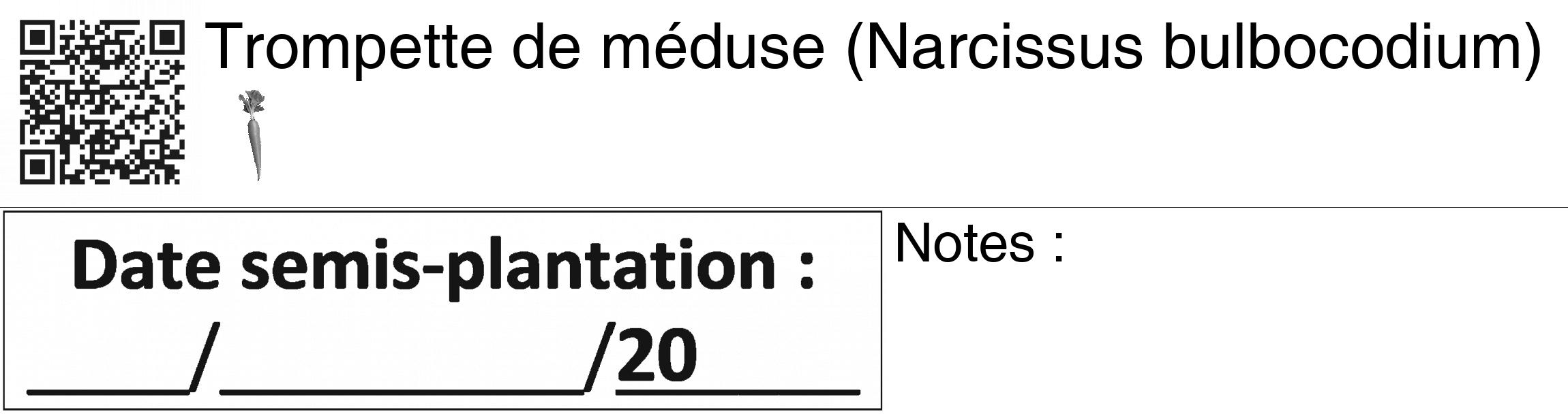 Étiquette de : Narcissus bulbocodium - format c - style noire60_basiquegrrvhel avec qrcode et comestibilité simplifiée