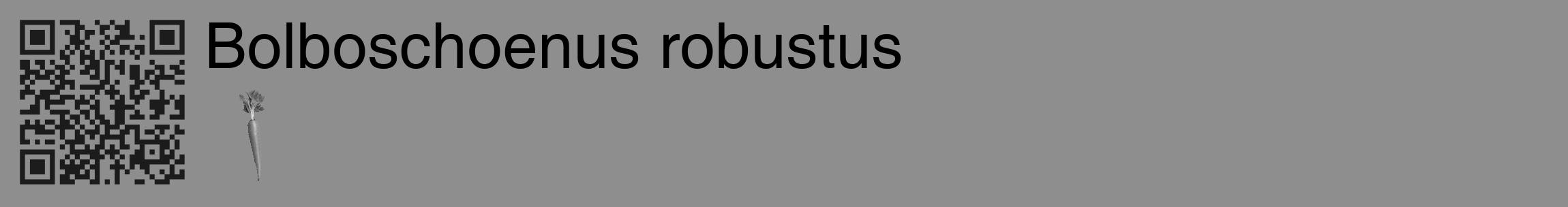 Étiquette de : Bolboschoenus robustus - format c - style noire25_basique_basiquehel avec qrcode et comestibilité simplifiée