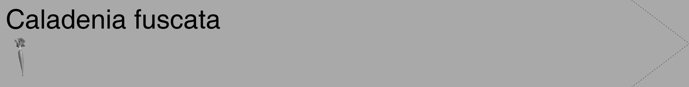 Étiquette de : Caladenia fuscata - format c - style noire13_simple_simplehel avec comestibilité simplifiée