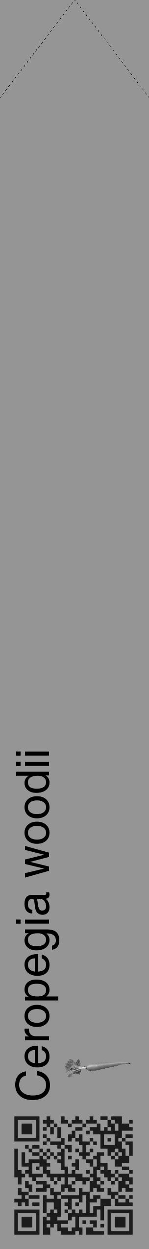 Étiquette de : Ceropegia woodii - format c - style noire16_simple_simplehel avec qrcode et comestibilité simplifiée - position verticale