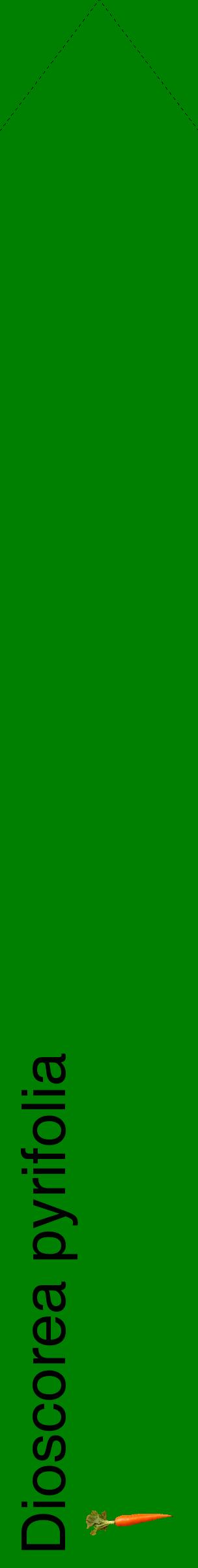 Étiquette de : Dioscorea pyrifolia - format c - style noire9_simplehel avec comestibilité simplifiée
