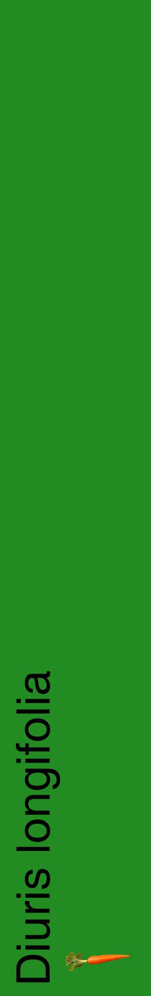 Étiquette de : Diuris longifolia - format c - style noire10_basiquehel avec comestibilité simplifiée