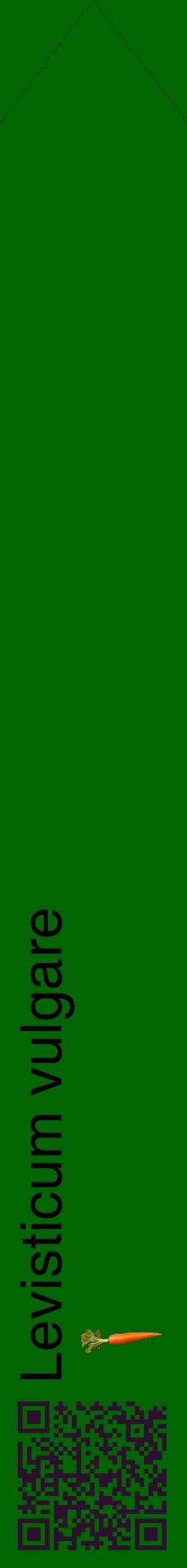 Étiquette de : Levisticum vulgare - format c - style noire8_simplehel avec qrcode et comestibilité simplifiée