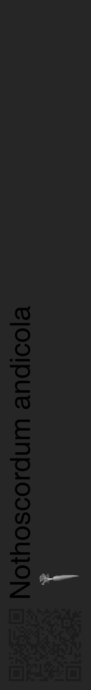 Étiquette de : Nothoscordum andicola - format c - style noire29_basique_basiquehel avec qrcode et comestibilité simplifiée - position verticale