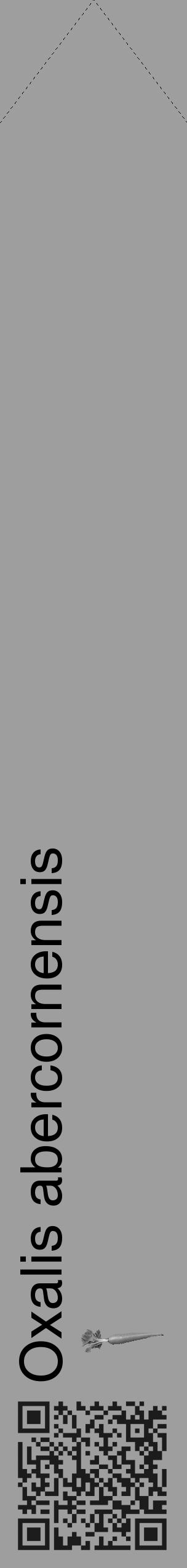 Étiquette de : Oxalis abercornensis - format c - style noire42_simple_simplehel avec qrcode et comestibilité simplifiée - position verticale