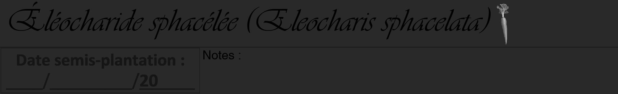 Étiquette de : Eleocharis sphacelata - format a - style noire34viv avec comestibilité simplifiée