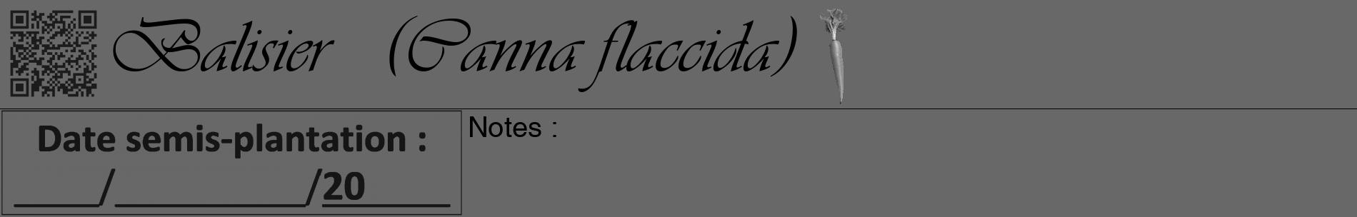 Étiquette de : Canna flaccida - format a - style noire43basiqueviv avec qrcode et comestibilité simplifiée