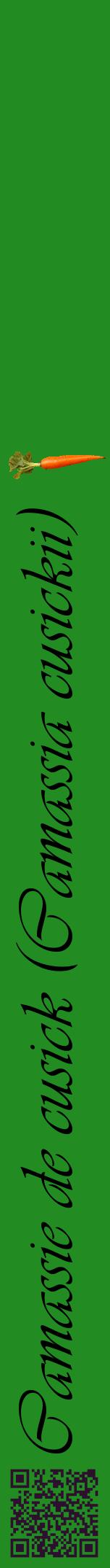 Étiquette de : Camassia cusickii - format a - style noire10viv avec qrcode et comestibilité simplifiée