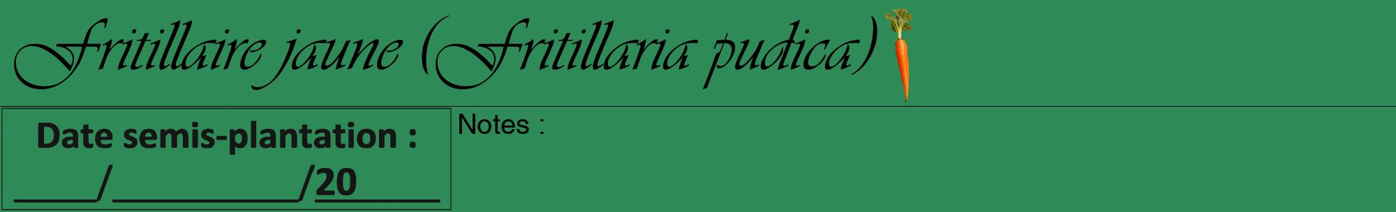 Étiquette de : Fritillaria pudica - format a - style noire11viv avec comestibilité simplifiée