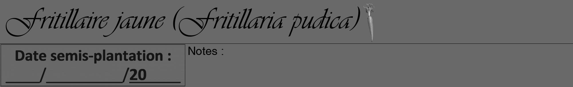 Étiquette de : Fritillaria pudica - format a - style noire11viv avec comestibilité simplifiée
