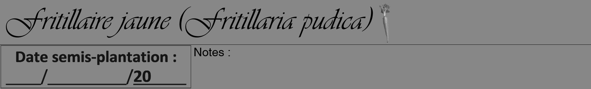 Étiquette de : Fritillaria pudica - format a - style noire12viv avec comestibilité simplifiée
