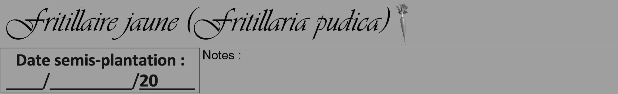 Étiquette de : Fritillaria pudica - format a - style noire24viv avec comestibilité simplifiée