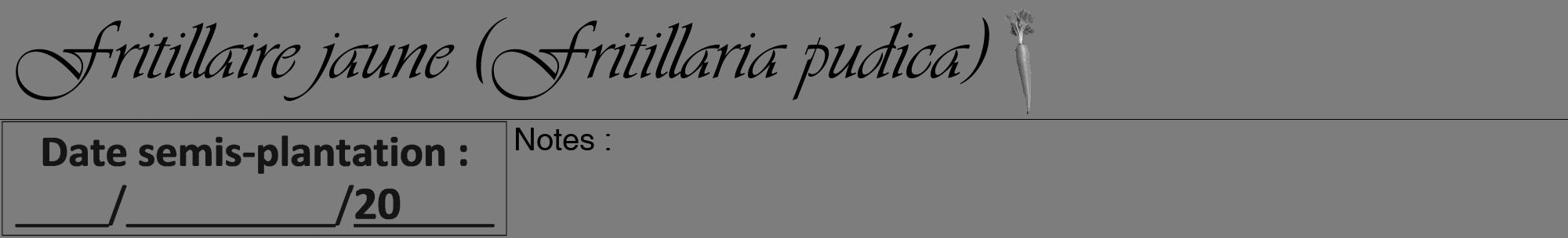 Étiquette de : Fritillaria pudica - format a - style noire35viv avec comestibilité simplifiée