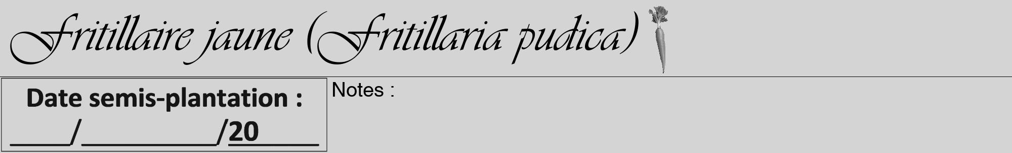 Étiquette de : Fritillaria pudica - format a - style noire40viv avec comestibilité simplifiée