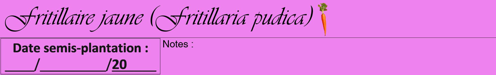 Étiquette de : Fritillaria pudica - format a - style noire53viv avec comestibilité simplifiée