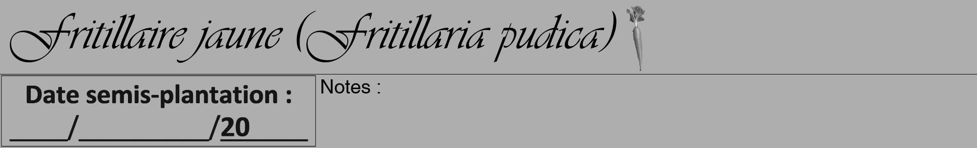 Étiquette de : Fritillaria pudica - format a - style noire53viv avec comestibilité simplifiée