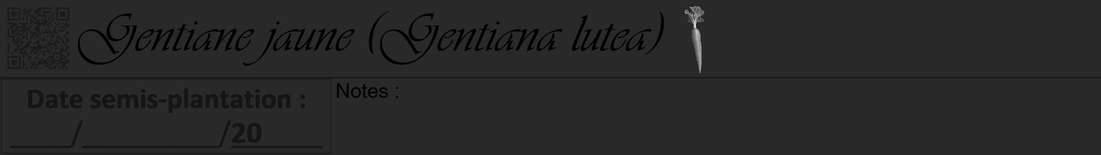 Étiquette de : Gentiana lutea - format a - style noire34viv avec qrcode et comestibilité simplifiée