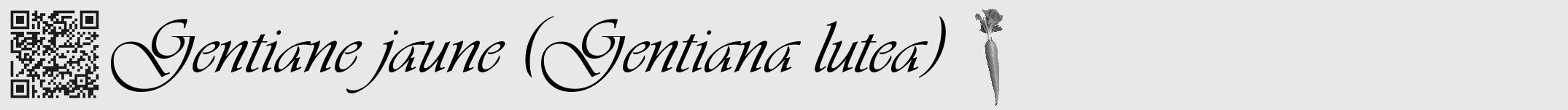 Étiquette de : Gentiana lutea - format a - style noire55simpleviv avec qrcode et comestibilité simplifiée