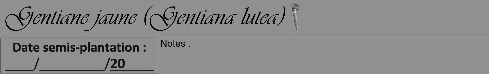 Étiquette de : Gentiana lutea - format a - style noire4viv avec comestibilité simplifiée