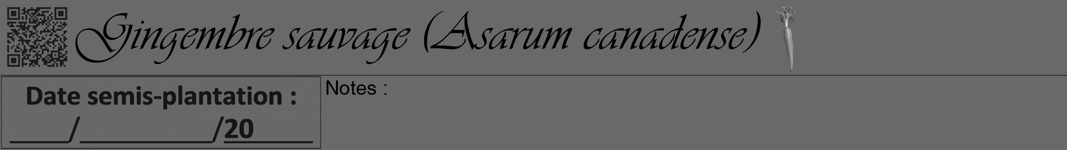 Étiquette de : Asarum canadense - format a - style noire11viv avec qrcode et comestibilité simplifiée