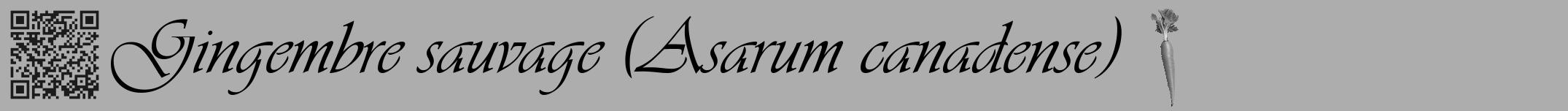 Étiquette de : Asarum canadense - format a - style noire22viv avec qrcode et comestibilité simplifiée