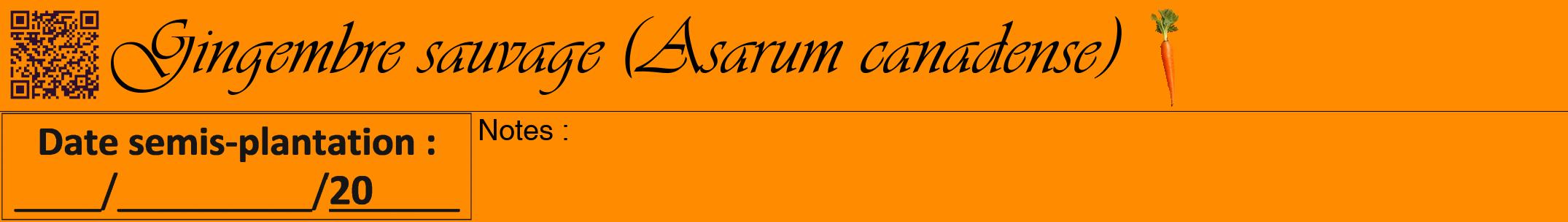 Étiquette de : Asarum canadense - format a - style noire23viv avec qrcode et comestibilité simplifiée