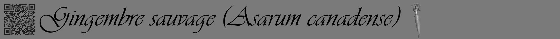 Étiquette de : Asarum canadense - format a - style noire3viv avec qrcode et comestibilité simplifiée
