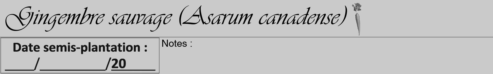Étiquette de : Asarum canadense - format a - style noire21viv avec comestibilité simplifiée