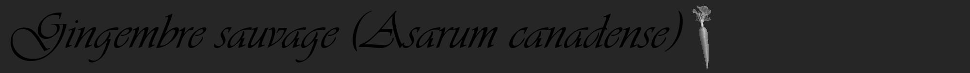 Étiquette de : Asarum canadense - format a - style noire29viv avec comestibilité simplifiée