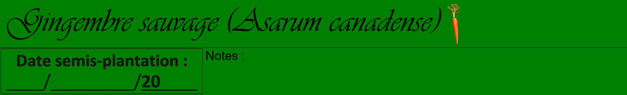 Étiquette de : Asarum canadense - format a - style noire9viv avec comestibilité simplifiée