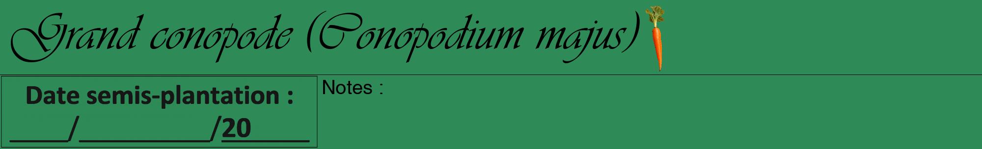 Étiquette de : Conopodium majus - format a - style noire11viv avec comestibilité simplifiée
