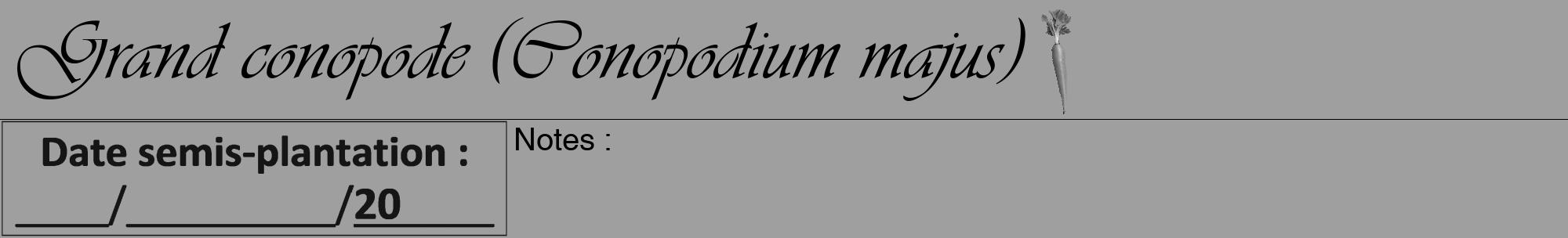 Étiquette de : Conopodium majus - format a - style noire24viv avec comestibilité simplifiée