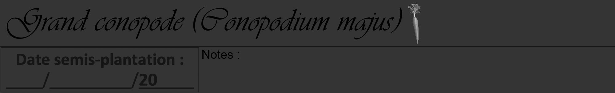 Étiquette de : Conopodium majus - format a - style noire46viv avec comestibilité simplifiée